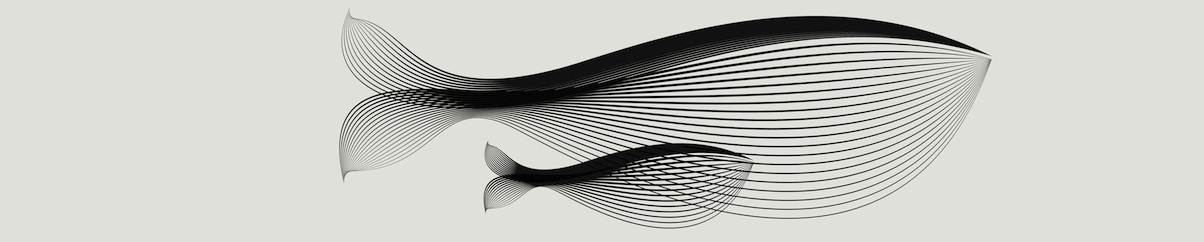 SWIOZ Review: How I Saw A Private Instagram Profil Shearer